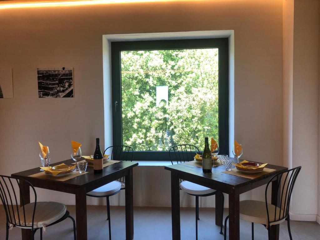 Bb Gli Aristogatti Acomodação com café da manhã Ghizzano Exterior foto