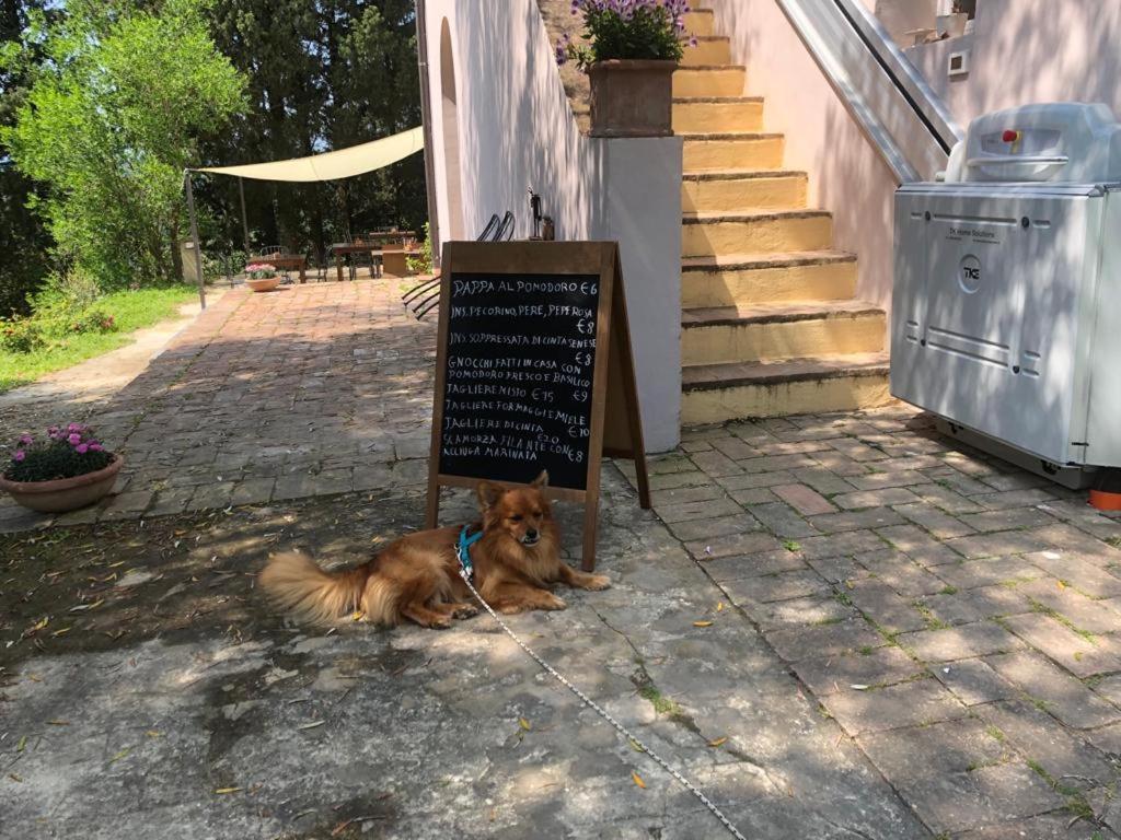 Bb Gli Aristogatti Acomodação com café da manhã Ghizzano Exterior foto